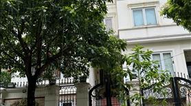 Giảm 2 tỷ bán biệt thự nhà vườn KĐT Lideco 230m, 4 tầng, mặt tiền 12m, giá 19 tỷ - Ảnh 2