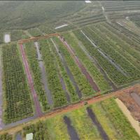 1.2ha đất nhà thờ Lâm Phát - Lộc Ngãi Giá siêu ngộp: 200tr/sào. Bao giá rẻ nhất khu vực