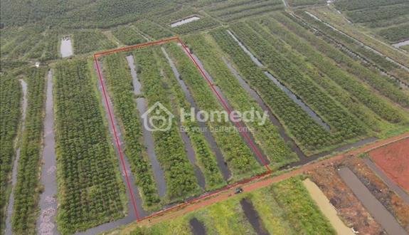 1.2ha đất nhà thờ Lâm Phát - Lộc Ngãi Giá siêu ngộp: 200tr/sào. Bao giá rẻ nhất khu vực - Ảnh 1