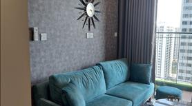 Cho thuê căn hộ chung cư Vinhomes Grand Park giá rẻ 1,2,3 phòng ngủ - Ảnh 6