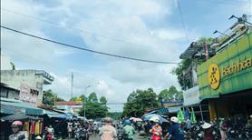 Bán 4sổ(20x46=1.000m2) Sổ Riêng Tc, Giá 260tr/S, 1 Xẹt QL13, Dân Đông, Nằm Giữa 3KCN. Chợ Thị Trấn - Ảnh 7