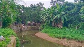 Chính CHỦ cần bán nhanh lô Đất tại xã Cư Yên Lương Sơn Hoà Bình. - Ảnh 4