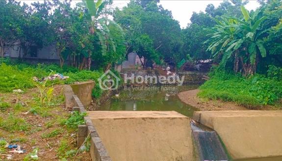 Chính CHỦ cần bán nhanh lô Đất tại xã Cư Yên Lương Sơn Hoà Bình. - Ảnh 1
