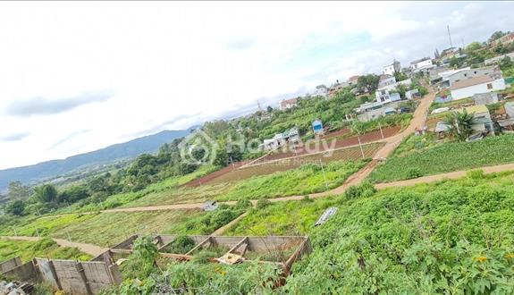 Cách cổng sân bay Đà Lạt 400m, đất thổ cư có sổ hồng riêng, tôi chính chủ bán - Ảnh 1