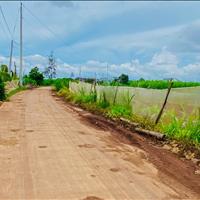Ngọc Lâm Đồng, uy tín, thật tâm - quỹ đất nền nghỉ dưỡng từ 1000m2 giá cập nhật