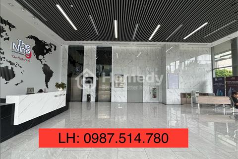 Chính chủ cần bán căn hộ cao cấp The Nine Tower 3PN 99m2. full đồ. Nội thất xịn xò.