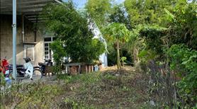 Đất chính chủ, 161m2, cần bán nhanh, giá thương lượng (925tr), chính chủ 0843577822 - Ảnh 3