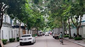 Bán căn góc nhà vườn dt đất 152m2, dt xây 450m2 khu C Geleximco Lê Trọng Tấn Hà Đông LH 0915820188 - Ảnh 6
