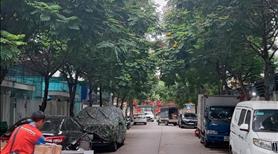 Bán căn góc nhà vườn dt đất 152m2, dt xây 450m2 khu C Geleximco Lê Trọng Tấn Hà Đông LH 0915820188 - Ảnh 7