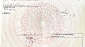 Đất cây hàng năm. Có sổ hồng riêng - Ảnh 2