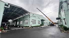 Nhà xưởng sản xuất cho thuê tiếp nhận đa dạng ngành nghề. pháp lý đầy đủ. xuất vat - Ảnh 4