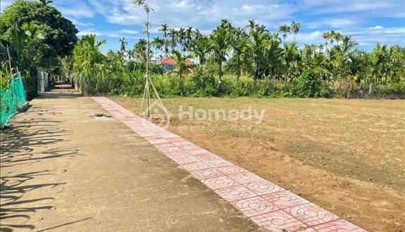Bán lỗ sập nguồn 2 lô đất ở liền kề xã Nghĩa Lâm - Ảnh 1
