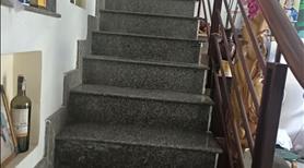 Đi xuất cảnh cần bán gấp nhà hẻm 2// Nguyễn Thái Sơn, P.5, Gò Vâp - Ảnh 5