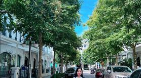 Bán nhanh căn liền kề hoa Hồng Vinhomes star city thanh hóa siêu đẹp giá rẻ nhất thị trường  - Ảnh 4