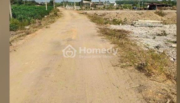 Bán đất tây ninh giá 210 triệu /100m có SHR đường nhựa 6m,shr, xây dựng tự do  - Ảnh 1