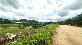 Cần bán lô đất chính chủ của gia đinh em vùng ven Đà Lạt - Ảnh 4