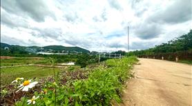 Gia đình mình cần bán mảnh đất vùng ven Đà Lạt, tiềm năng phát triển trong tương lai - Ảnh 3