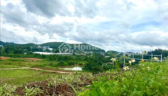 Gia đình mình cần bán mảnh đất vùng ven Đà Lạt, tiềm năng phát triển trong tương lai - Ảnh 1