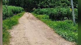 Bán đất tây ninh giá 210 triệu /100m có SHR đường nhựa 6m,shr, xây dựng tự do  - Ảnh 2