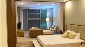 Bán gấp căn hộ chung cư 2PN, 1WC, giá chỉ 3,xtỷ/căn, vị trí đắc địa, tiện ích đầy đủ. - Ảnh 2