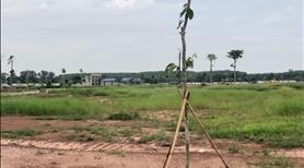 Sở Hữu Đất Nền Dự Án Phương Trường An Green City - Ảnh 3