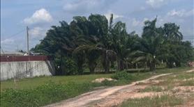 Khách gửi bán 2974m2 , full thổ, SHR,  Đức Hoà , Long An - Ảnh 2