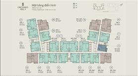 Chỉ với 600tr Sở hữu căn hộ 2 mặt tiền Hùng Vương và Võ Văn Kiệt. - Ảnh 4
