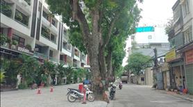 Nhà C4 Đức Giang, Long Biên, DT77m2, MT5.4m, Ô tô KD, 16.8 tỷ Long Biên - Ảnh 2