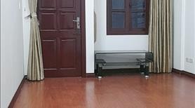 Bán Nhà Đường Võ Thị Sáu 42M Dân Xây, Gần Phố, Ngõ Thông Chỉ 3,65 TỶ - Ảnh 3