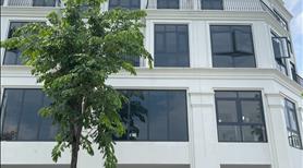 Bán LK 31, 79m2, đg 12m tại KĐT Hinode Royal Park, Kim Chung Di Trạch, giá 15.8 tỷ. Lh 0903222591 - Ảnh 4