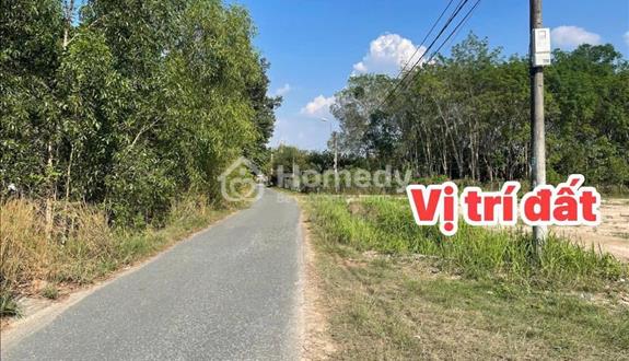 115m2 thổ cư ngay mt đường nhựa 538, xã nhuận đức , củ chi, có SHR công chứng ngay _ chỉ 1tỷ3 - Ảnh 1