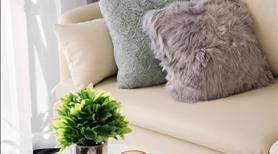 🌟 GoldenCity Tây Ninh - Nơi tinh hoa hội tụ, đỉnh cao phồn vinh 🌟 - Ảnh 4