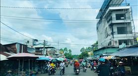 Cần sang lại vườn (1200M2) đất shr thổ cư liền kề cụm khu công nghiệp hàn quốc  GIÁ 190 tr - Ảnh 6