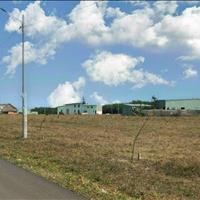 Cần sang lại vườn (1200M2) đất shr thổ cư liền kề cụm khu công nghiệp hàn quốc  GIÁ 190 tr