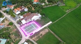 Cần tiền bán nhanh 4 lô đất liền nhau full thổ cư 2 mặt tiền Ninh Hòa - Khánh Hòa - Ảnh 10