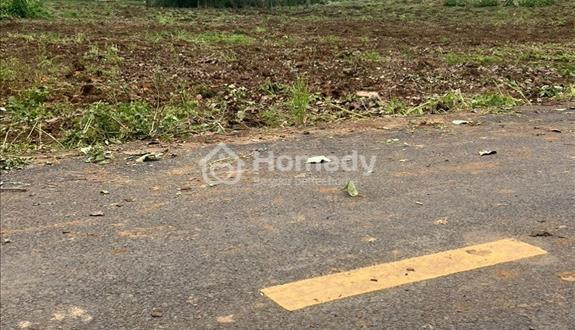 Trễ lãi nên bán gấp đất vườn sầu riêng 2000m2, 330tr có thương lượng khu vực đồng phú, bình phước - Ảnh 1
