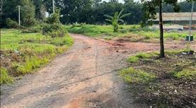 Trễ lãi nên bán gấp đất vườn sầu riêng 2000m2, 330tr có thương lượng khu vực đồng phú, bình phước - Ảnh 3