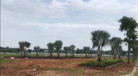 Mở bán đợt cuối cùng giai đoạn 1 LK - F6 dự án Phương Trường An Green City với mức giá ưu đãi. - Ảnh 4