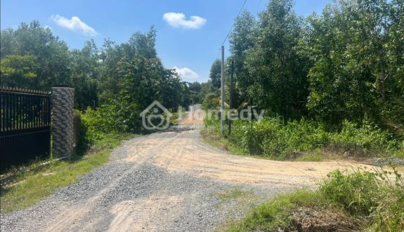 Bán 393m2 đất ONT Lô 2 Lê Văn Tám - Tân An - TX LaGi giá đầu tư - Ảnh 1