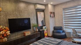 Bán căn penthouse 4 phòng ngủ, diện tích 145m2 giá bán 7 tỷ hơn, Phương Đông Green Home - Ảnh 2
