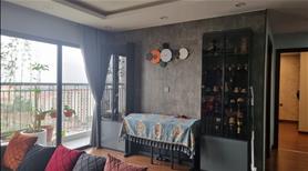Bán căn penthouse 4 phòng ngủ, diện tích 145m2 giá bán 7 tỷ hơn, Phương Đông Green Home - Ảnh 4