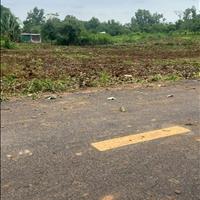 Chính chủ cần bán gấp 1000m2 ,giá 219 triệu thương lượng cho ai mua nhanh ngay đồng phú, bình phước