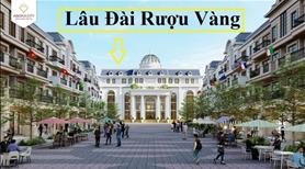Đất Nền Trung Tâm Hành Chính Huyện Thủ Thừa - Ảnh 6