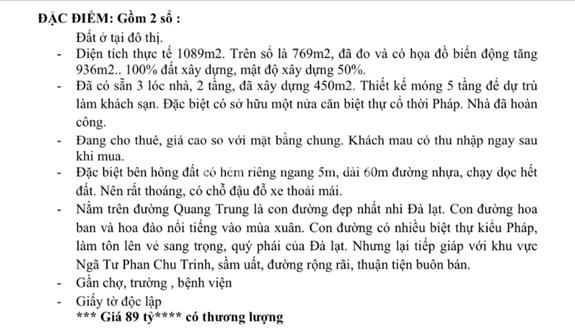 Khu tổ hợp kinh doanh, nhà biệt thự mặt tiền Quang Trung Đà Lạt cần bán - Ảnh 1