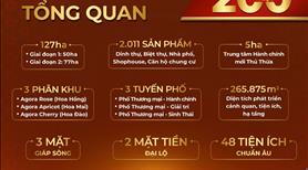 Đất Nền Trung Tâm Hành Chính Huyện Thủ Thừa - Ảnh 15