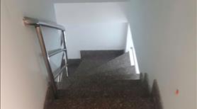 Nhà quận 7, GIÁ  3 tỷ 9. 0911610226 - Ảnh 8