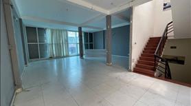 HXT D2 8x22m 1Trệt 4Lầu trống suốt có Thang Máy. Hợp VPCT, Trường học. - Ảnh 2