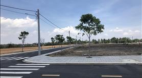 Bán giá tốt nhất lô đất ven biển Quất Lâm, có sẵn sổ đỏ, full thổ cư - Ảnh 5