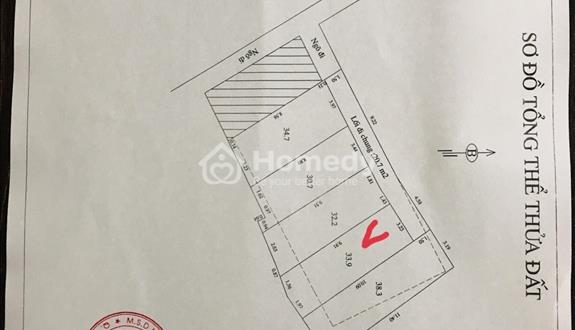 📣📣📣1 Mảnh đất duy nhất phố #445 lạc long quân đẹp như hình - Ảnh 1