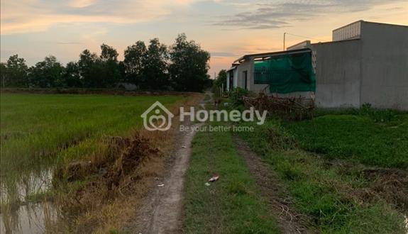 Chỉ 3 Tỷ lấy 2257m2 Đất Lúa sổ có đường lên được thổ cư, Đức Hòa, cách đường động lực 823D 750m - Ảnh 1